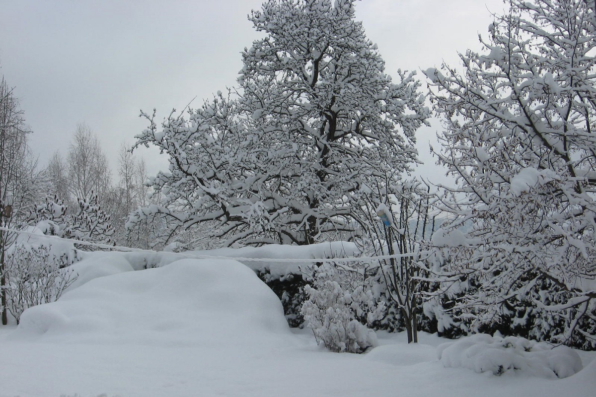 Winterlicher Garten